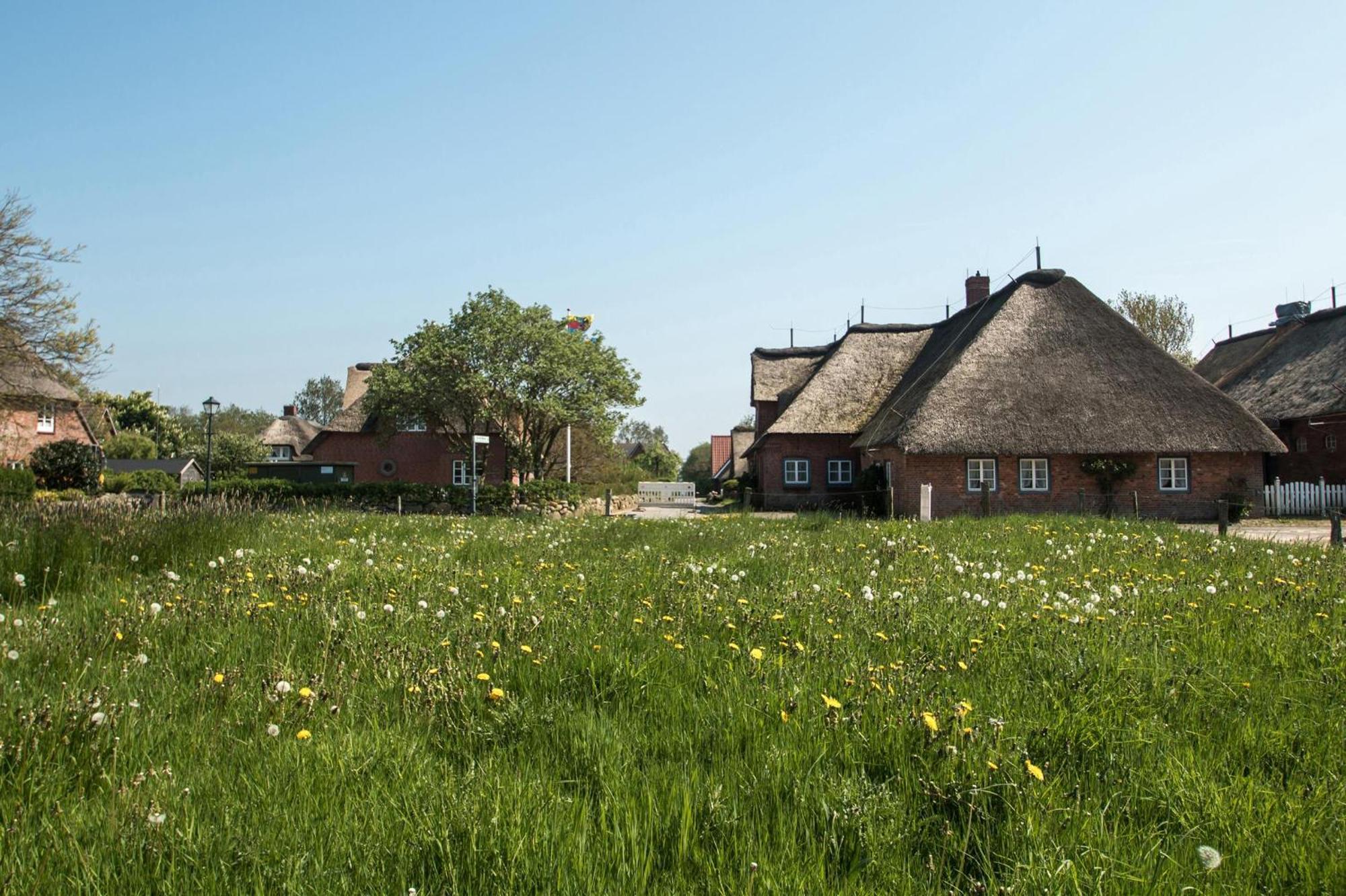Reethus Gluecklicher Matthias Hausteil Waasterlun Oldsum Exteriör bild